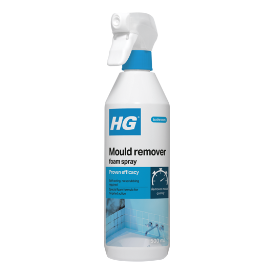 HG | Mould Foam Spray | 500ml