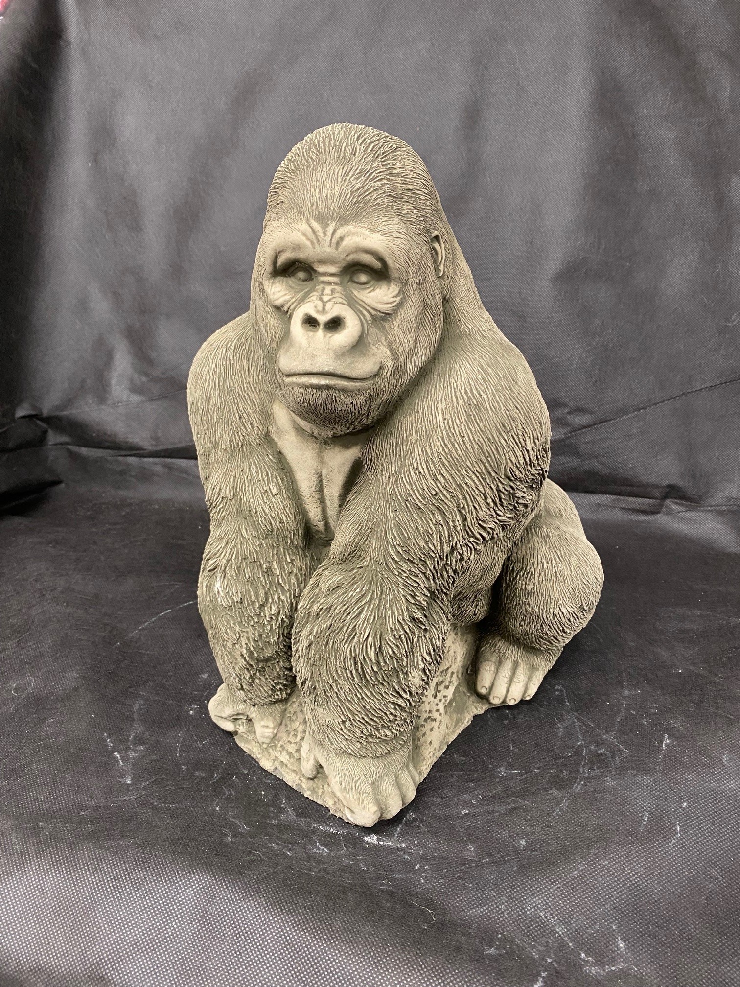 Gorilla 1 Statue | TAFS Garden Co. Telford, Shropshire