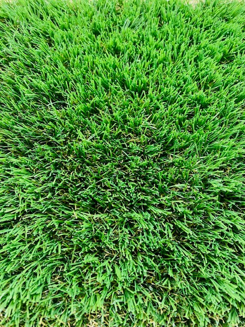 London 38mm front image artificial grass