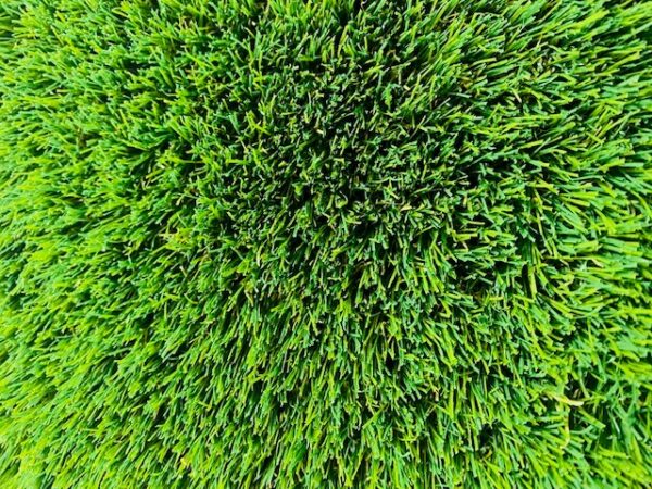 Premiership 40mm artificial grass
