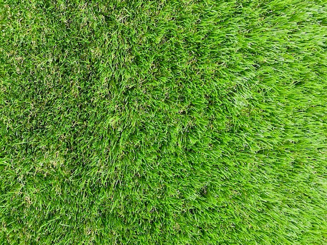 Braemar 40mm Artificial grass front image