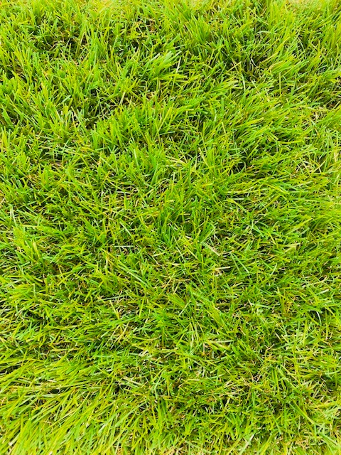 Cadiz 40mm artificial grass