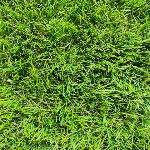 Malaga 40mm | 4m Width