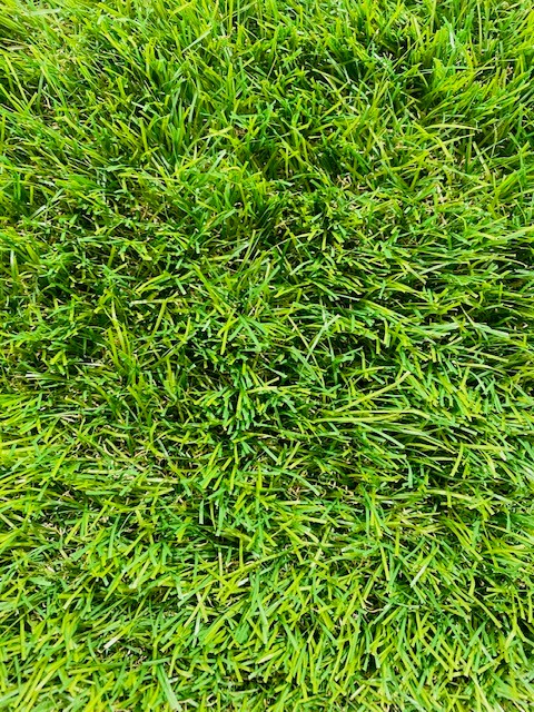 Malaga 40mm Artificial grass