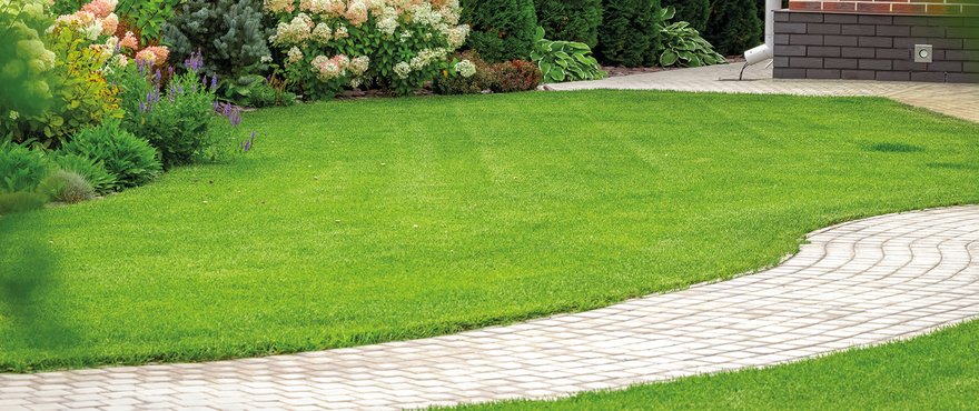Value for money with no compromise on quality A value for money general landscape mix with reliable amenity turfgrasses Suitable for professional landscaping and domestic lawns, forming a dense and durable turf Fast to establish